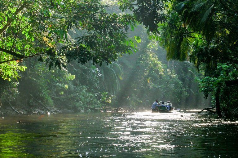 Navigation sur une rivière d'Amazonie - Napo Wildlife Center - Coca - Napo Wildlife Center avec Ecuador Experience