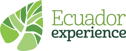 Ecuador Experience