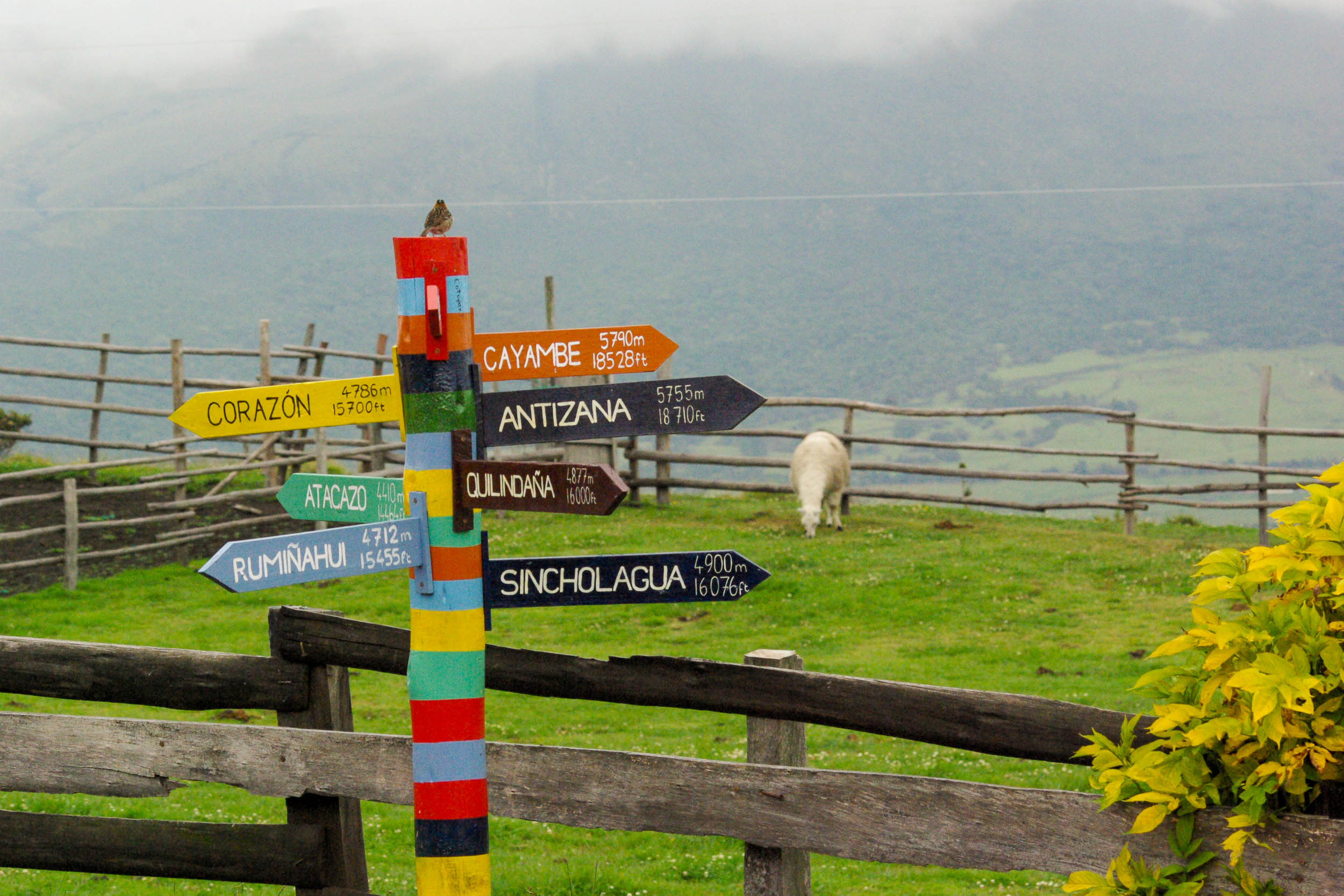 Autotours, voyages en toute liberté avec Ecuador Experience