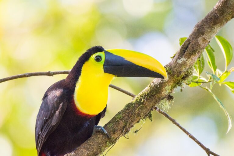 Les 7 merveilles naturelles d’Équateur – Les réserves de biosphère de l’UNESCO - Par Ecuador Experience