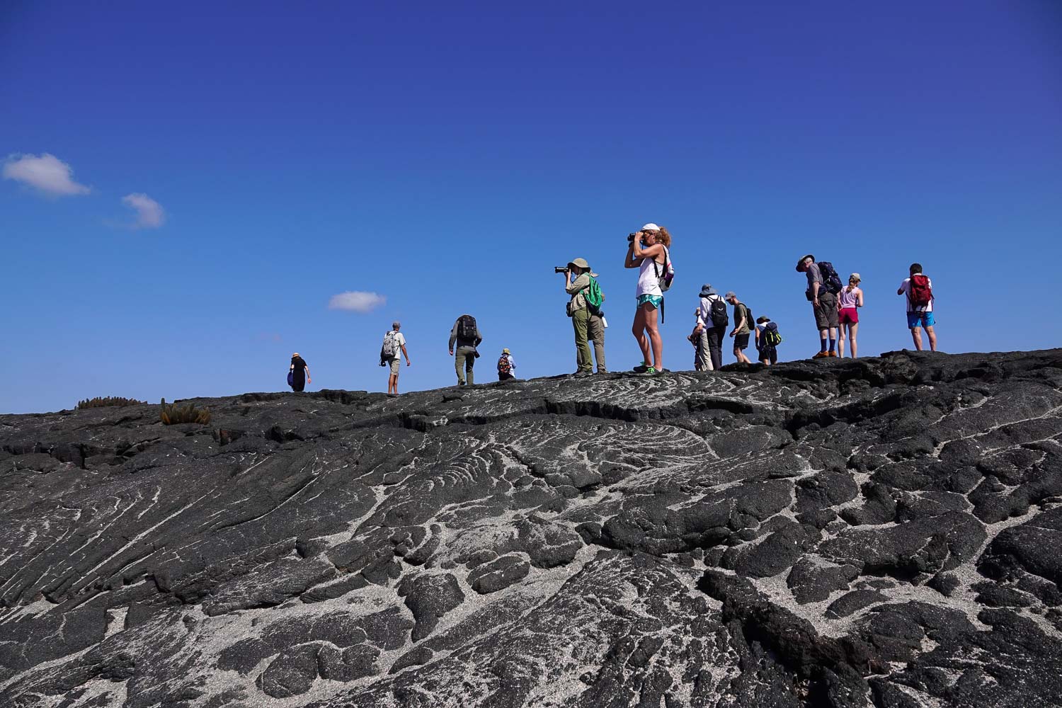 Révision des frais d’entrée au Parc National des Galápagos : impacts et enjeux pour la durabilité